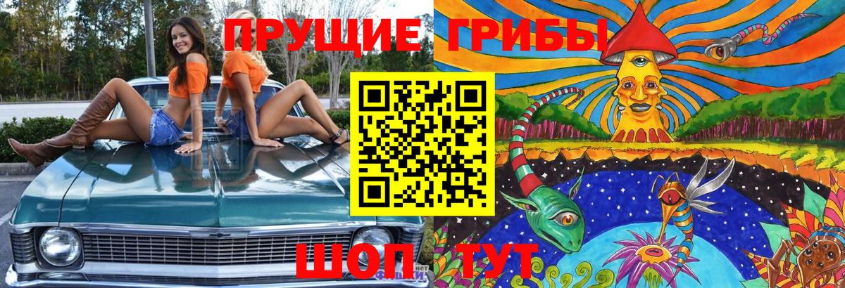 Псилоцибиновые грибы Psilocybe Обь