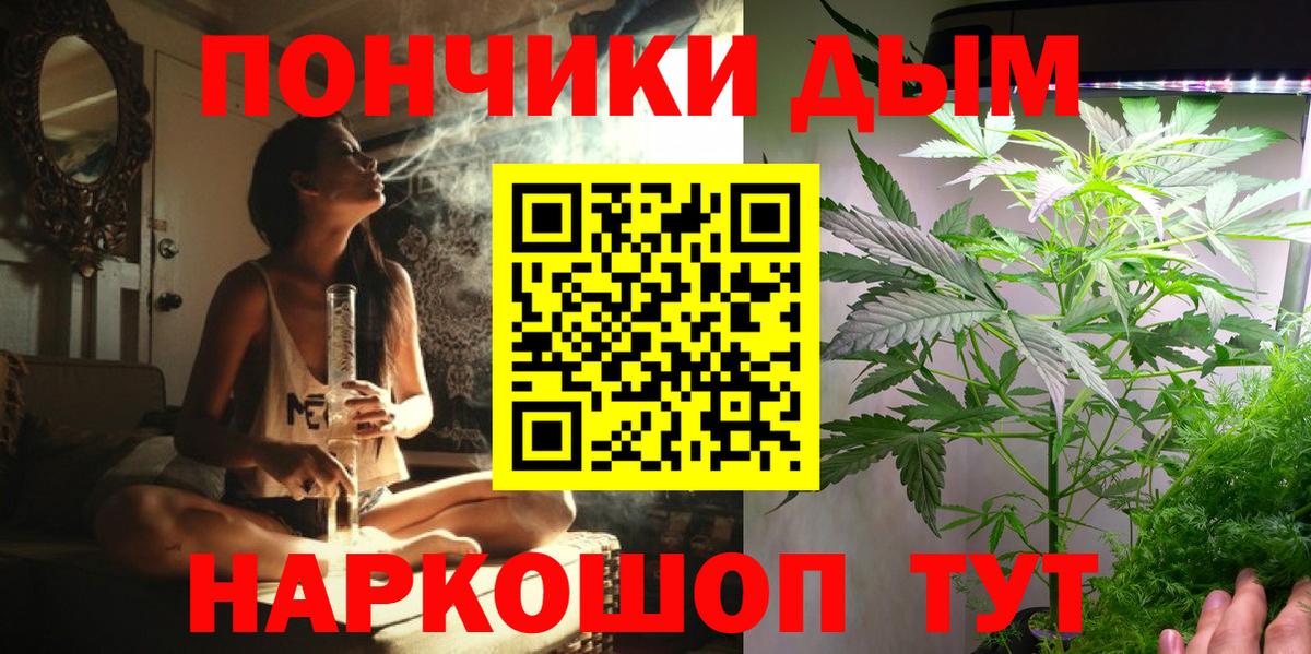 Шишки марихуана сатива Обь